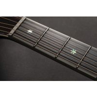 Takamine Nex Cutaway Electro P10NC - Vue 8